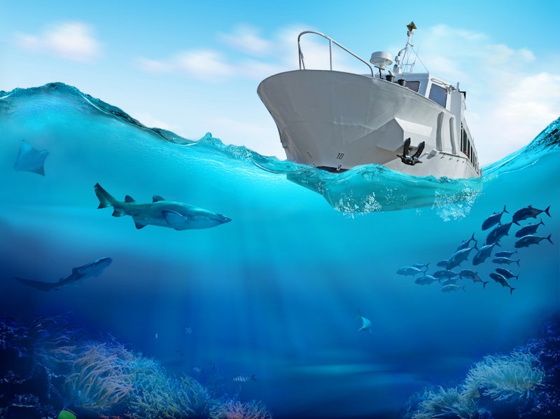 Experiences in Cabo San Lucas