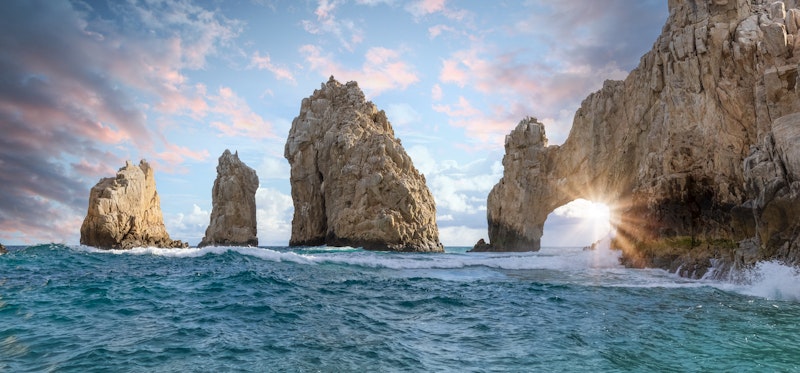 Whale Watching in Cabo San Lucas